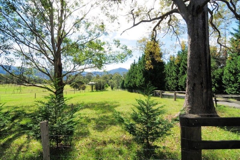 540 Illaroo Road, CAMBEWARRA NSW 2540, Cambewarra - Thumbnail 8