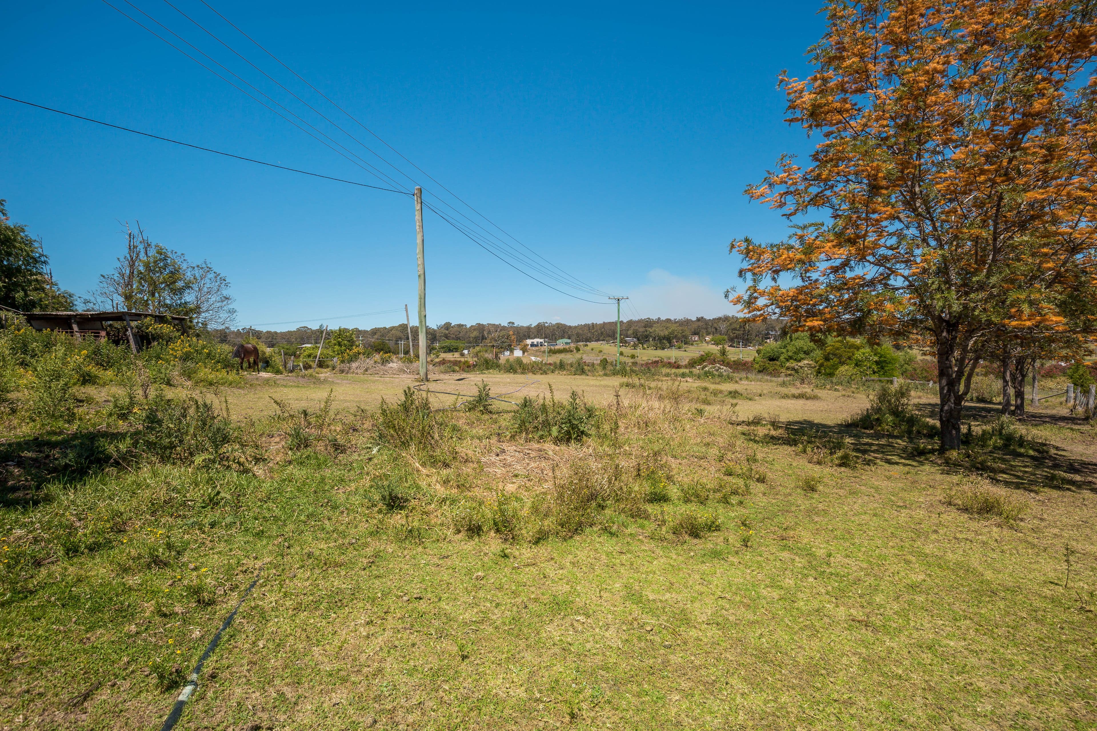 397 Pitt Town Road, Pitt Town - Thumbnail 6