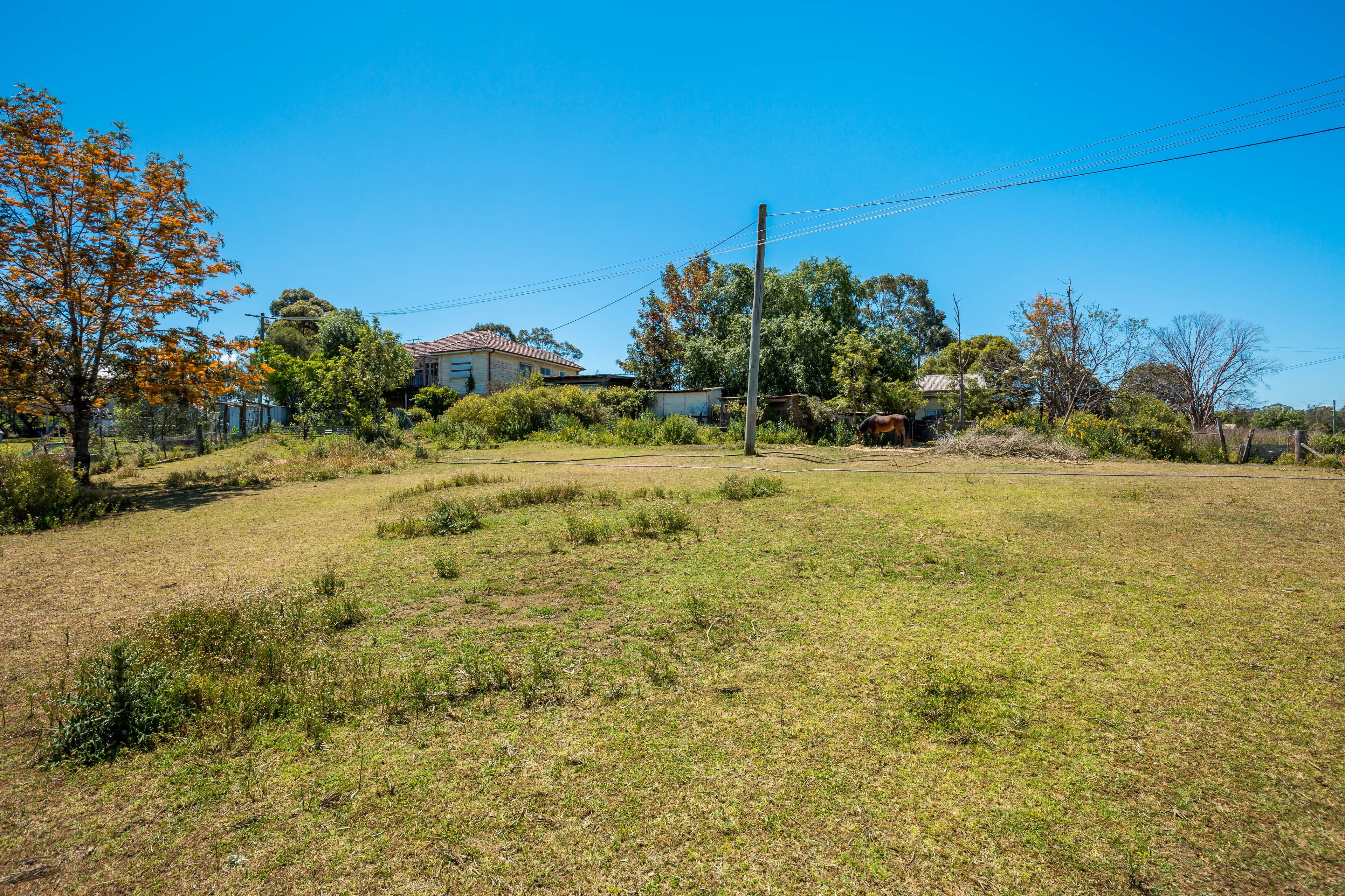 397 Pitt Town Road, Pitt Town - Thumbnail 7