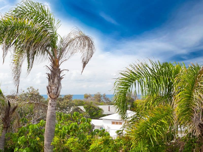 3 Petrel Street, PEREGIAN BEACH QLD 4573, Peregian Beach - Thumbnail 2