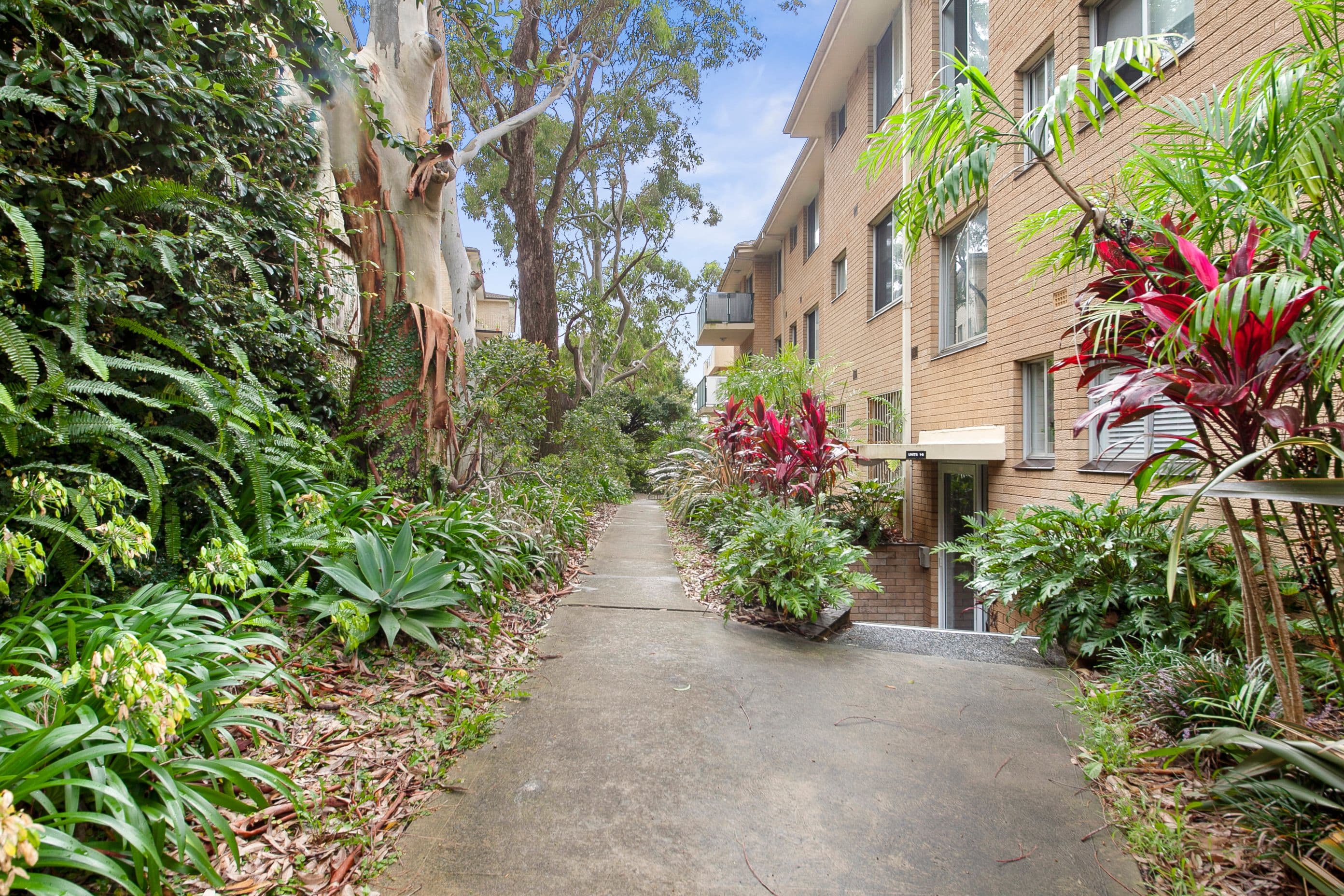 40 Burchmore Road, Manly Vale NSW 2093, Manly Vale - Thumbnail 7