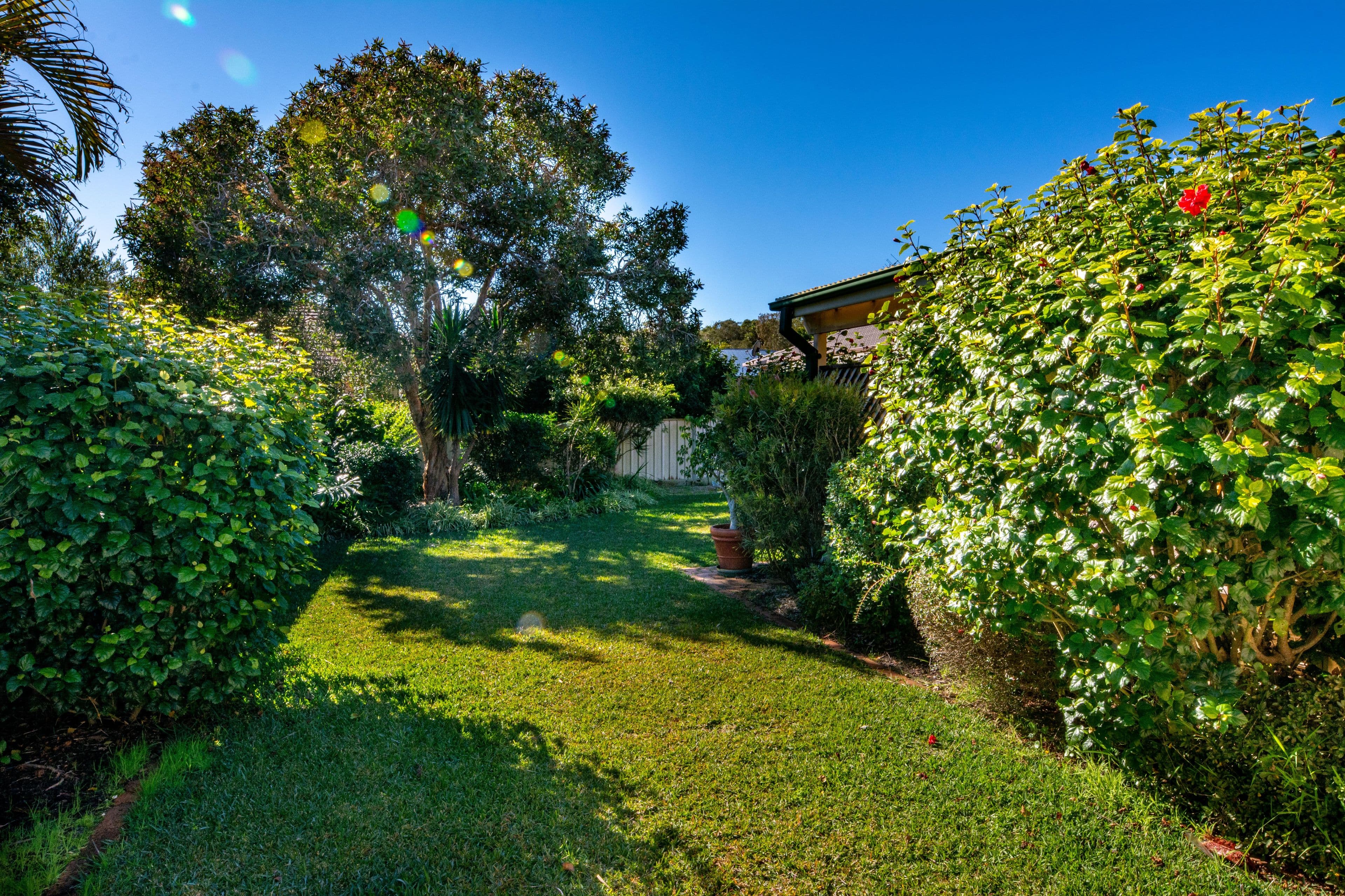 35 Karloo Street, Forster - Thumbnail 7