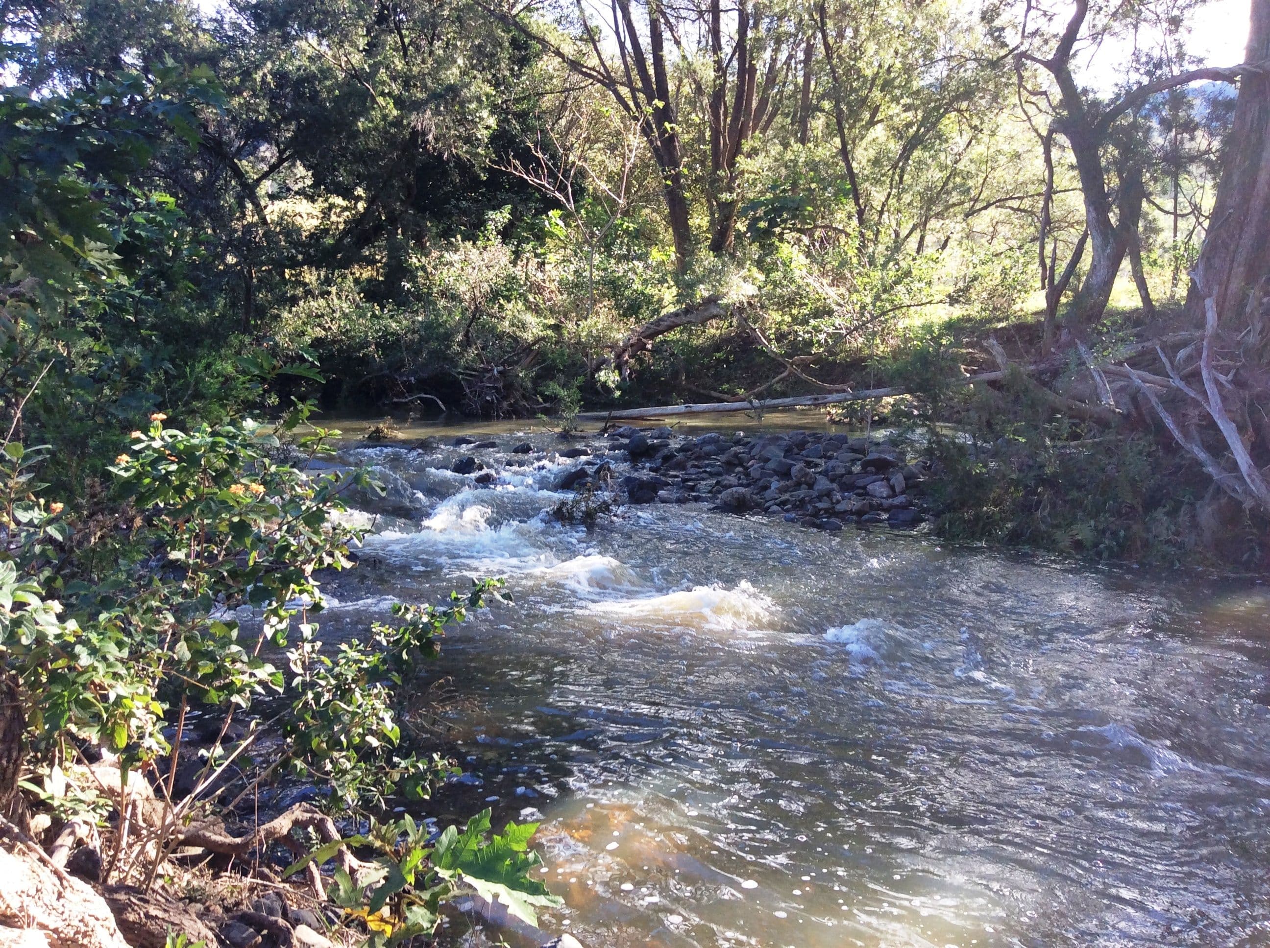 Laceys Creek QLD 4521, Laceys Creek - Thumbnail 4