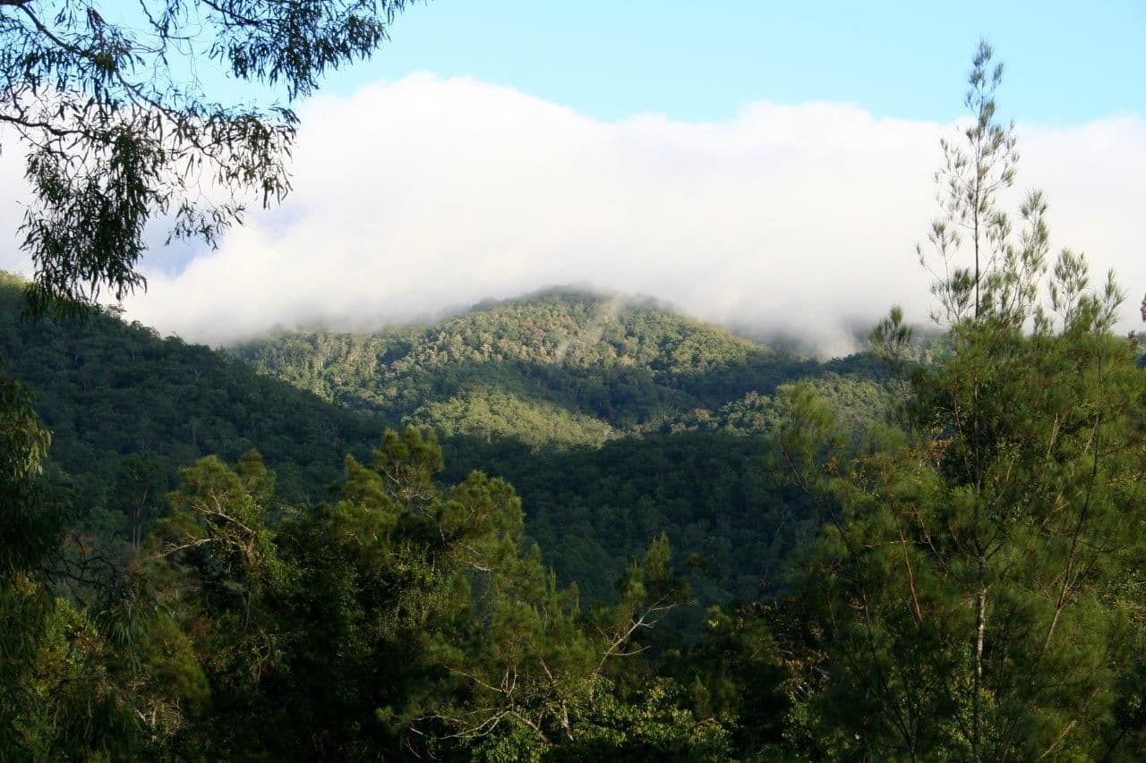 Laceys Creek QLD 4521, Laceys Creek - Thumbnail 7