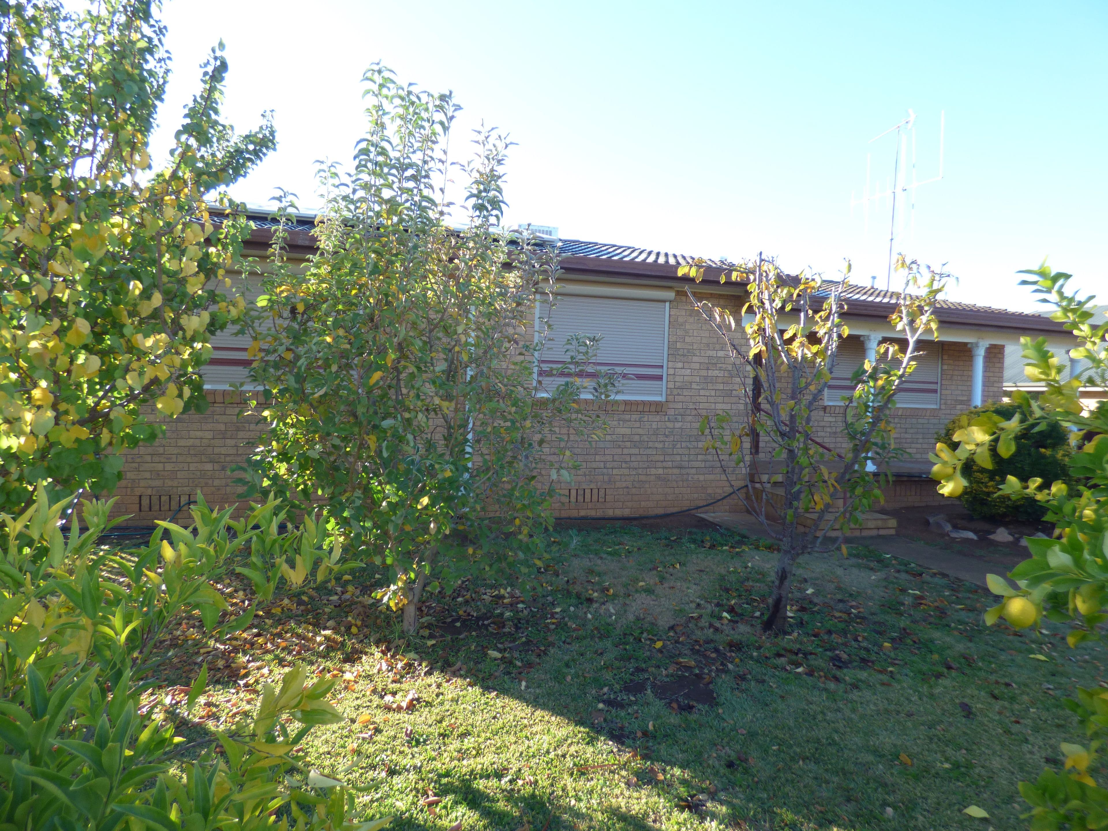 64 William Street, Forbes - Image 1