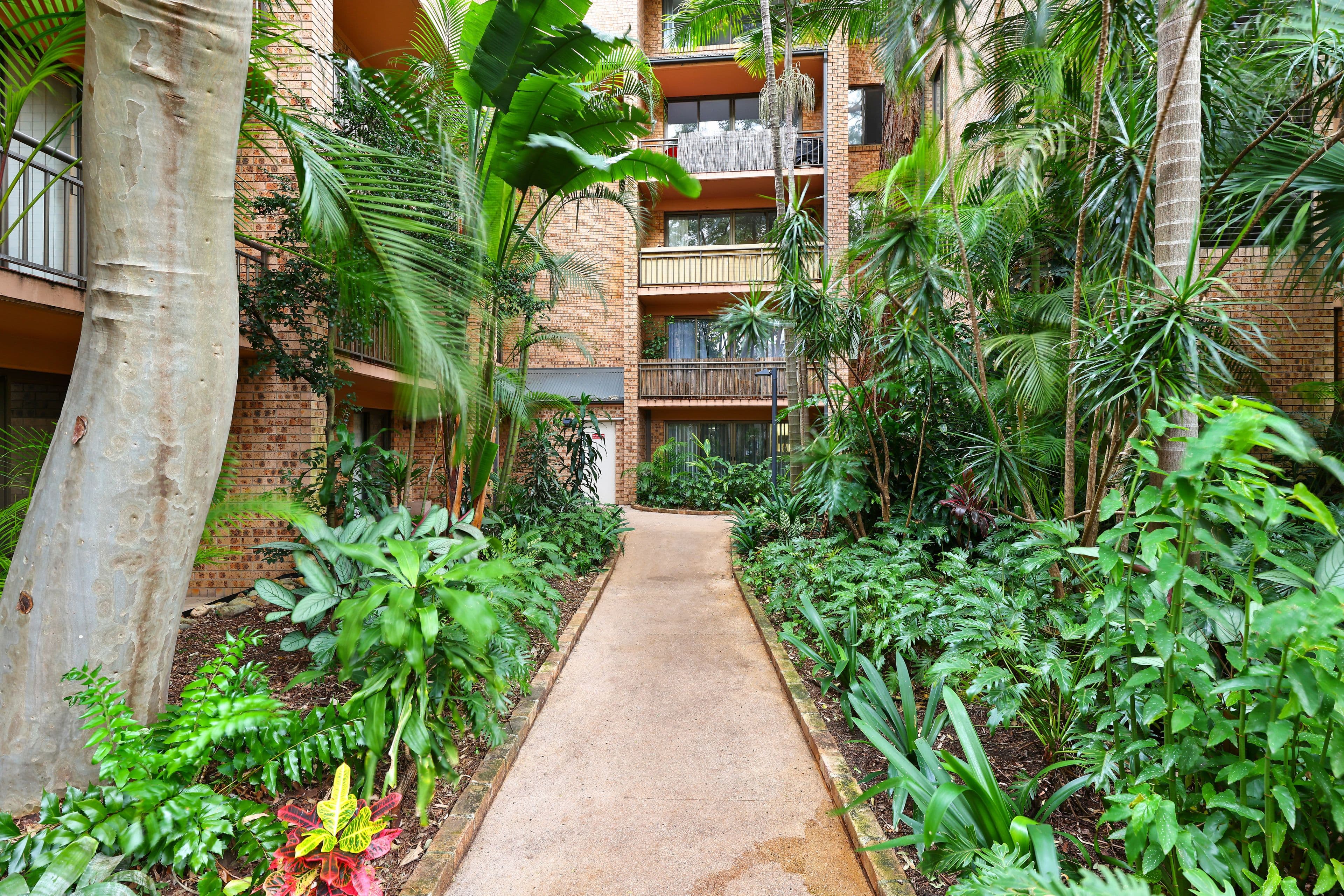 5-13 Hutchinson Street, Surry Hills NSW 2010, Surry Hills - Thumbnail 8