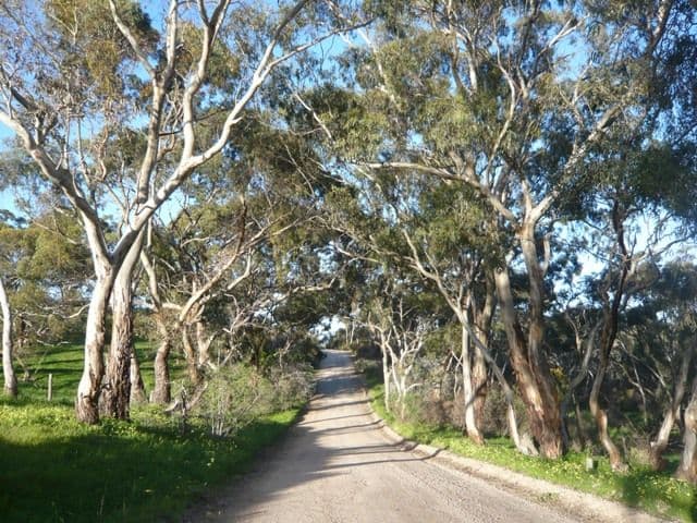 Lot 621 Emu Rock Road, ARMAGH SA 5453, Armagh - Thumbnail 4