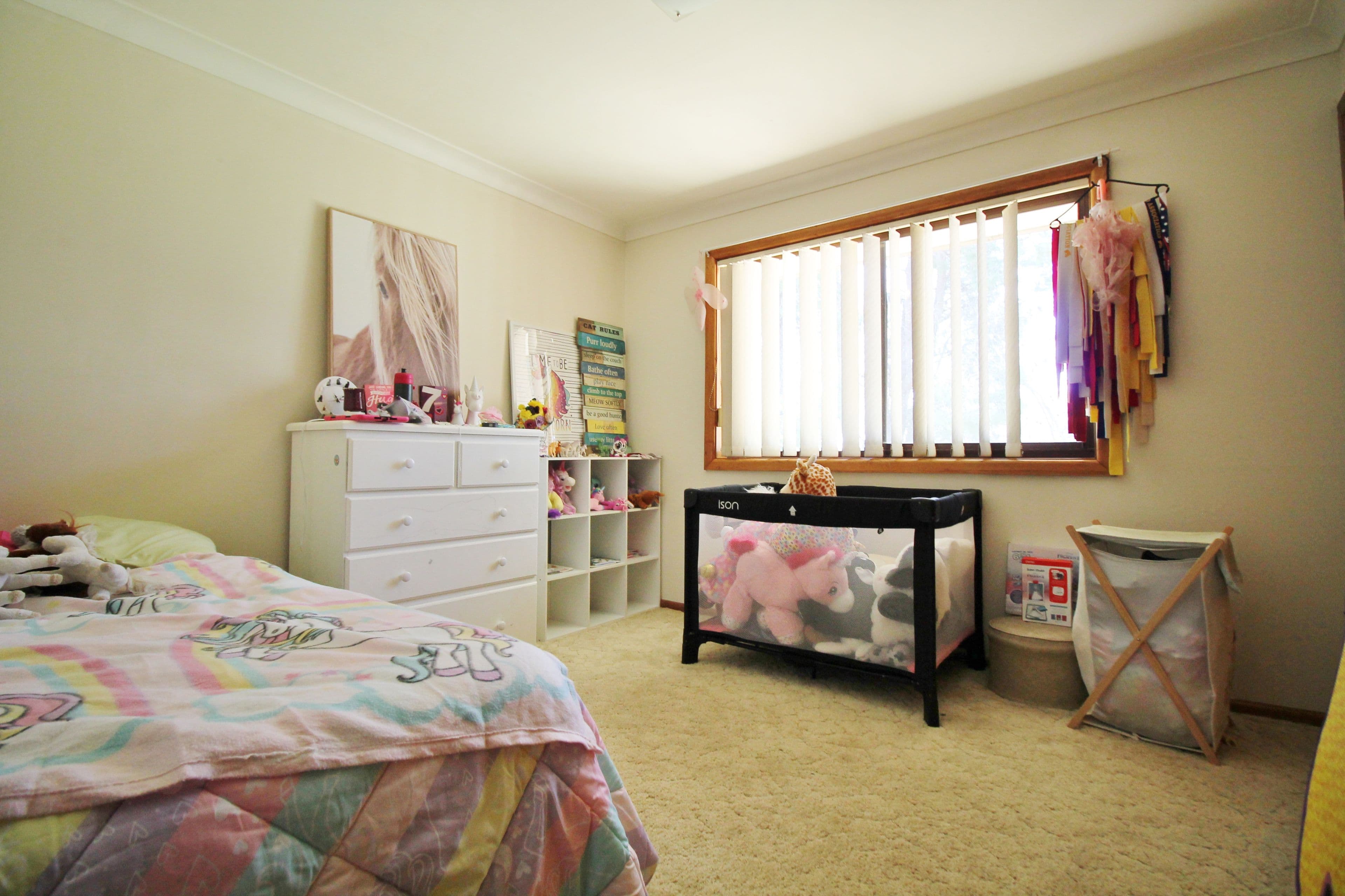 67 Back Creek Road, Young NSW 2594, Young - Thumbnail 8