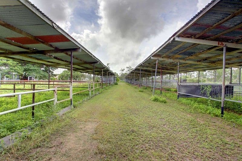 71 Haynes Road, JENSEN QLD 4818, Jensen - Thumbnail 2