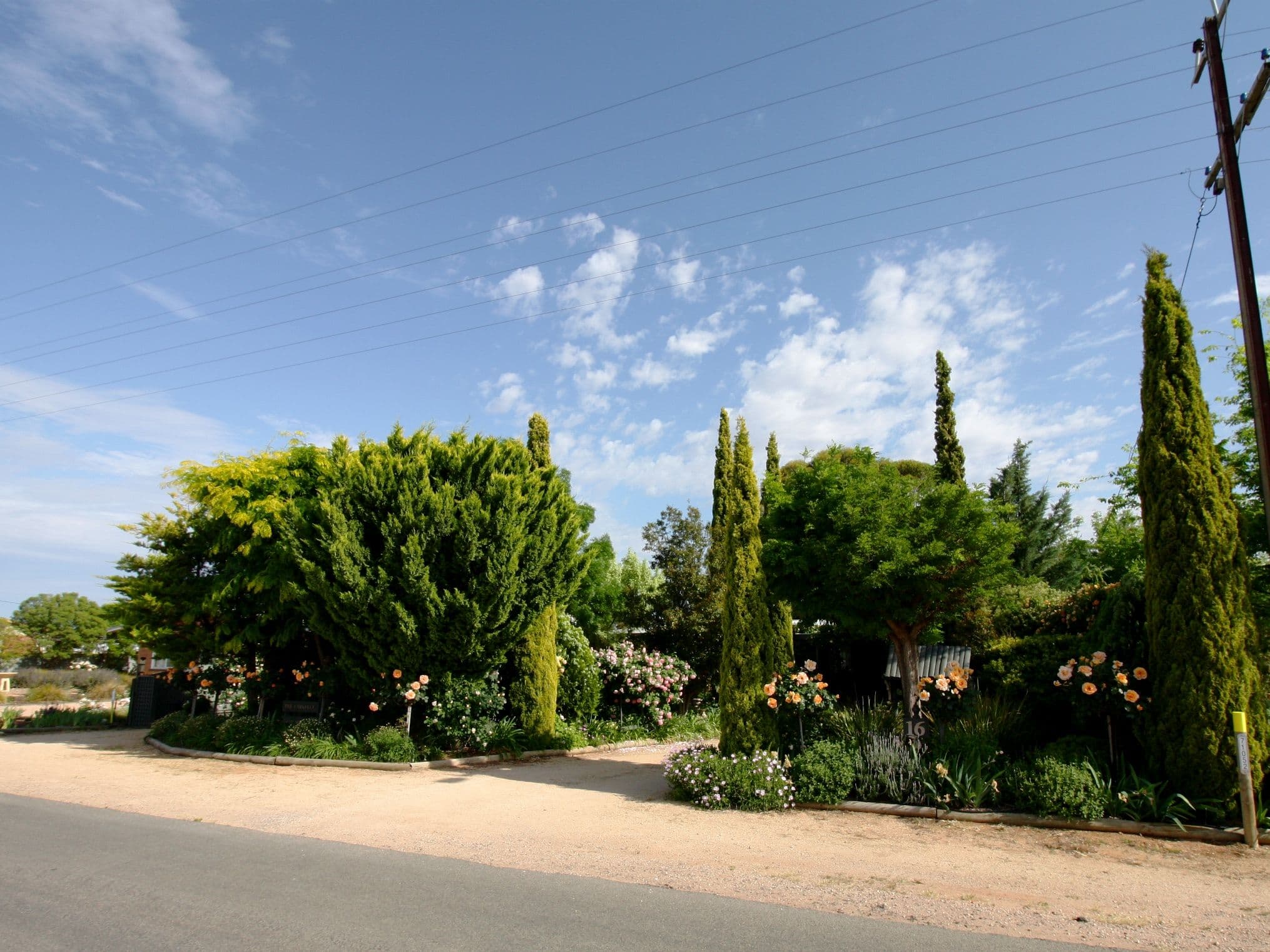 16 Pomroy Crescent, Lyrup SA 5343, Lyrup - Thumbnail 2