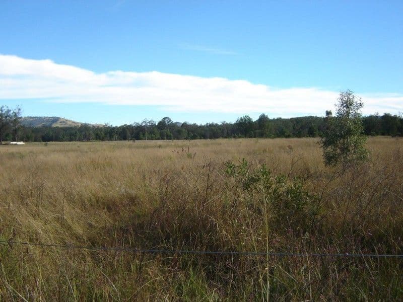 5 Postmans Ridge Road, WITHCOTT QLD 4352, Withcott - Thumbnail 3