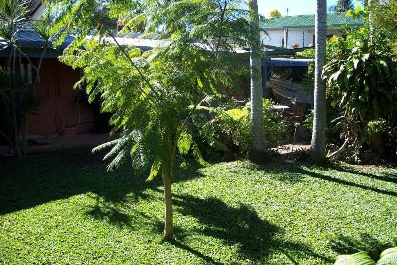 24 Allden Avenue, LABRADOR QLD 4215, Labrador - Thumbnail 5