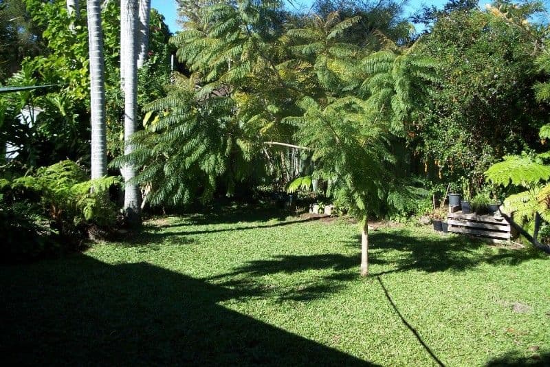 24 Allden Avenue, LABRADOR QLD 4215, Labrador - Thumbnail 6