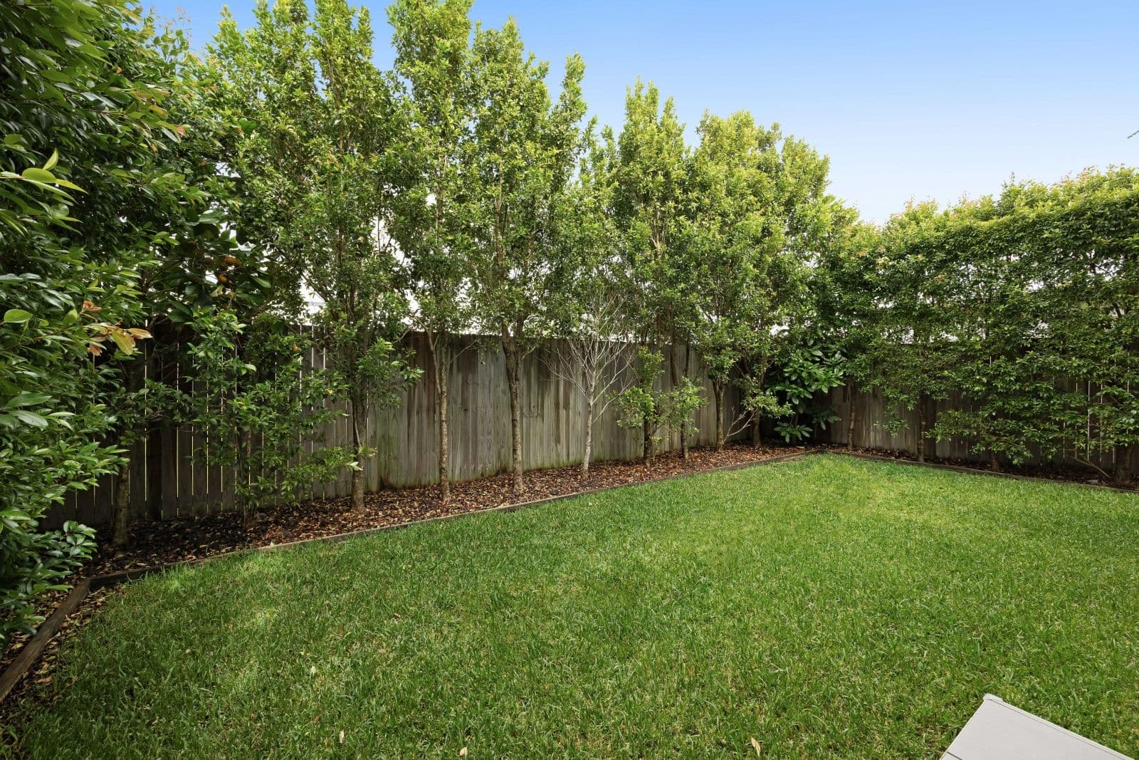 13 Triumph Street, Birtinya QLD 4575, Birtinya - Thumbnail 6