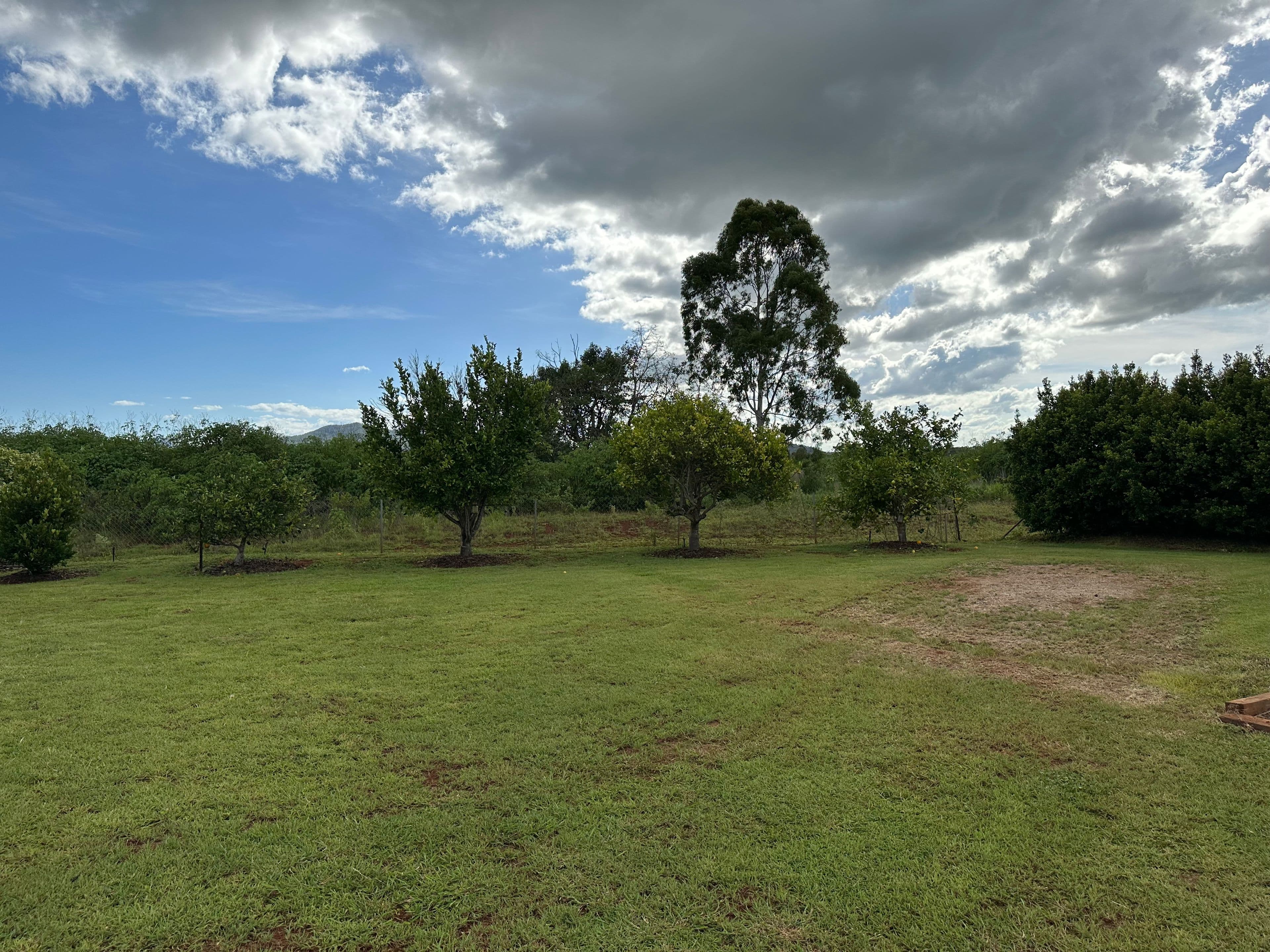 19 Gallo Drive, Mareeba QLD 4880, Mareeba - Thumbnail 6