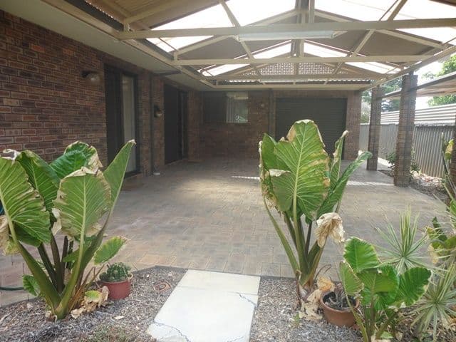 19 Briggs Street, BASSENDEAN WA 6054, Bassendean - Thumbnail 3