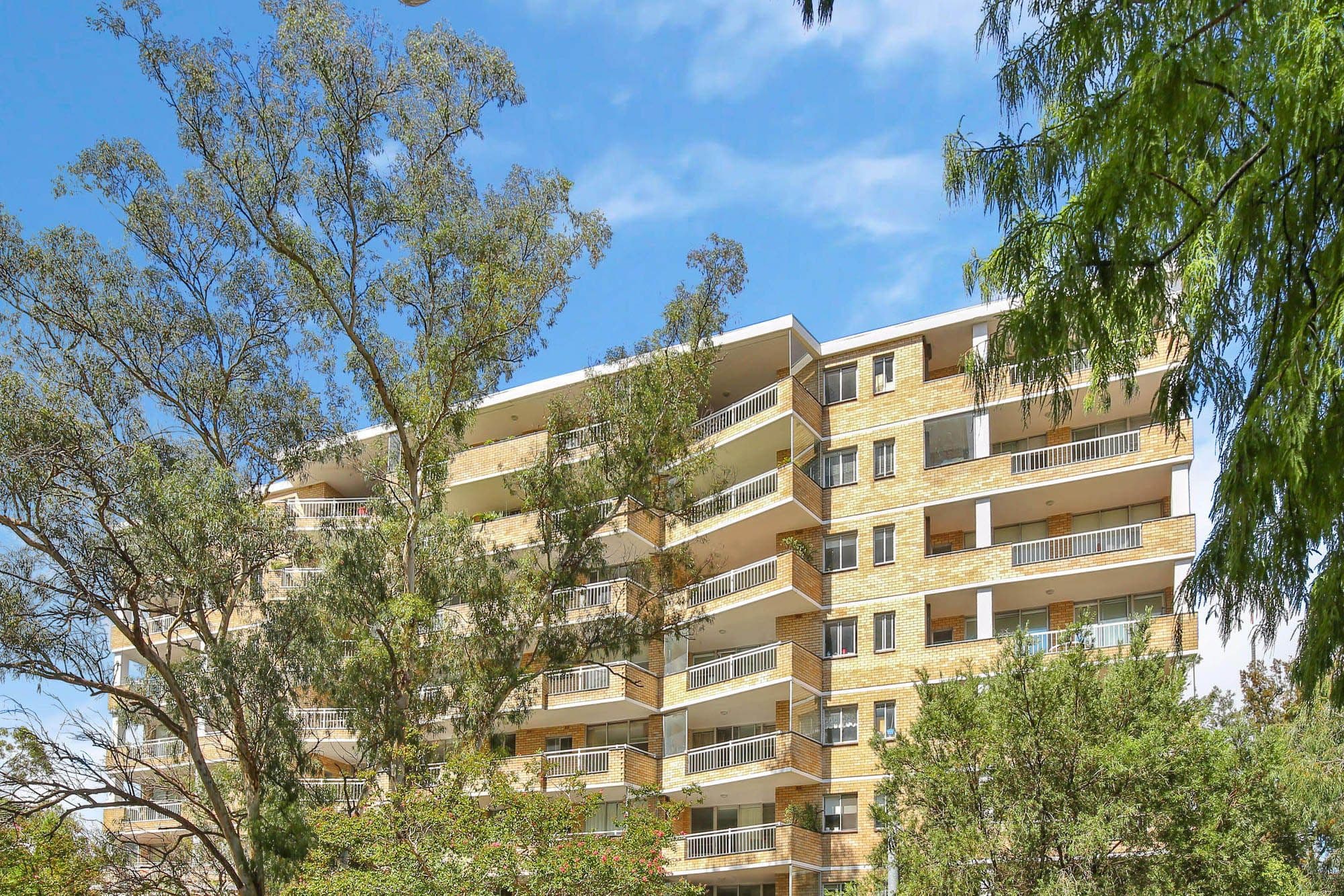 8-14 Ellis Street, Chatswood NSW 2067, Chatswood - Thumbnail 2