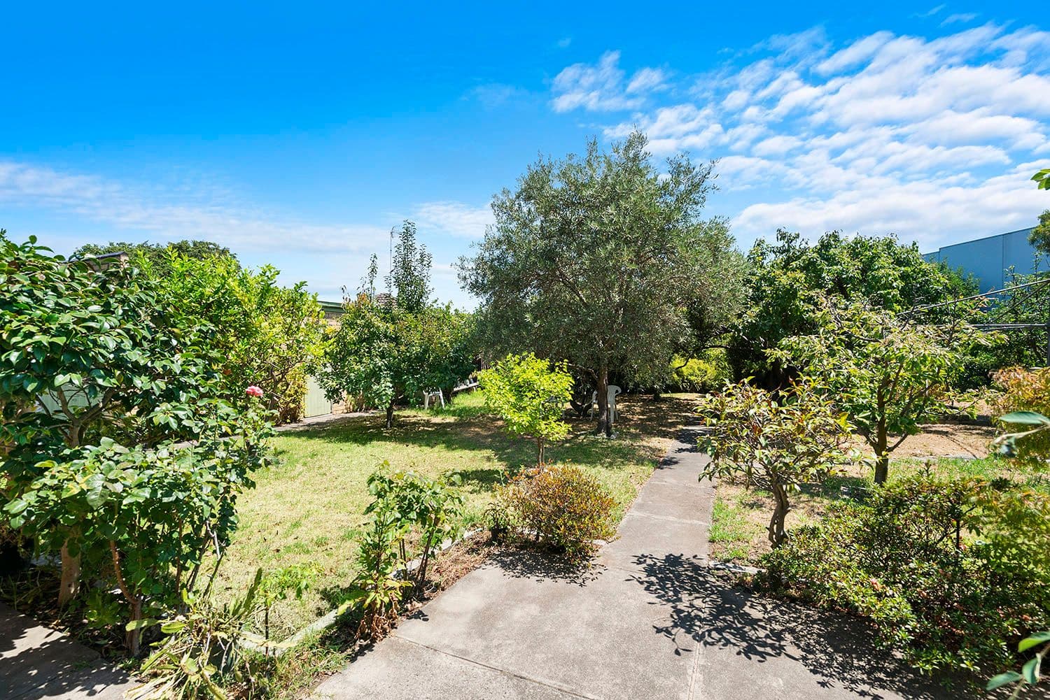 3 Susan Court, Cheltenham VIC 3192, Cheltenham - Thumbnail 6