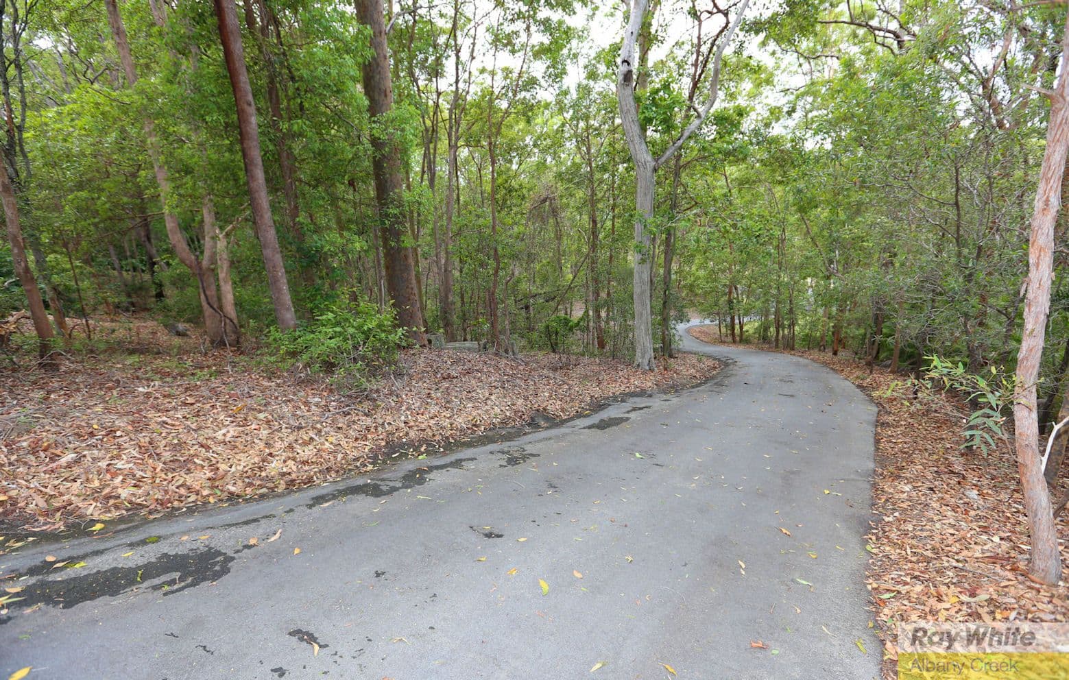 12 Bellbird Court, Warner QLD 4500, Warner - Thumbnail 8