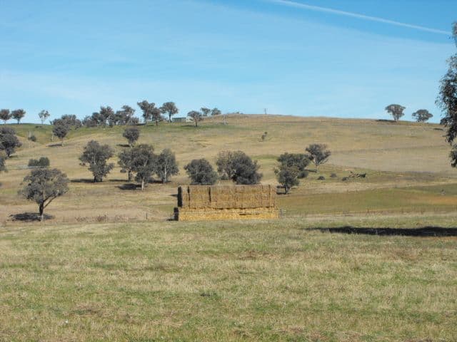 200 Square Road, CANOWINDRA NSW 2804, Canowindra - Thumbnail 3