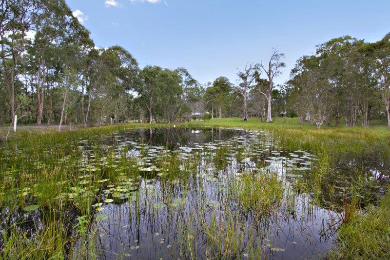 66-72 Solway Crescent, CARBROOK QLD 4130, Carbrook - Thumbnail 2