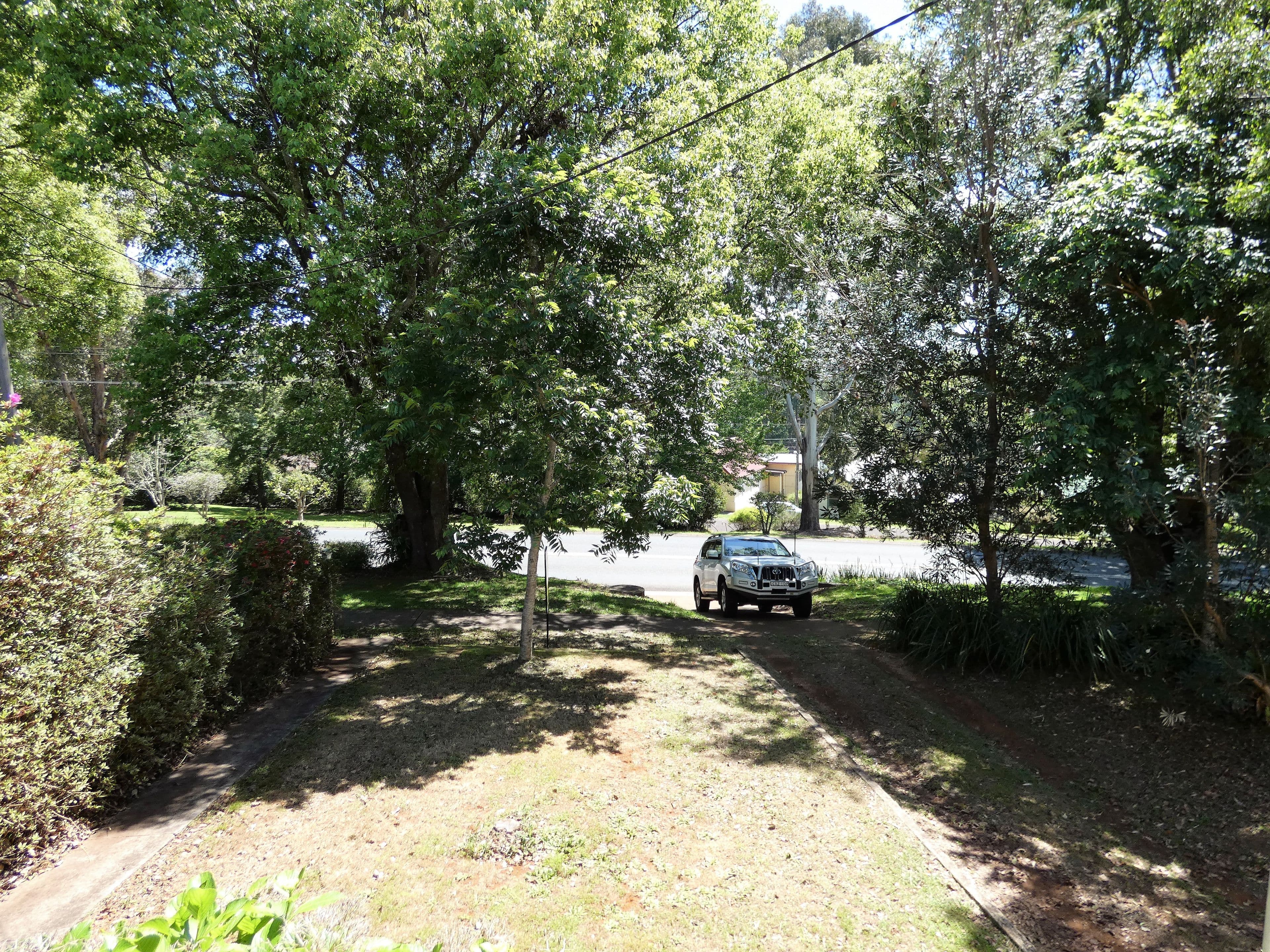 Dorrigo NSW 2453, Dorrigo - Thumbnail 5