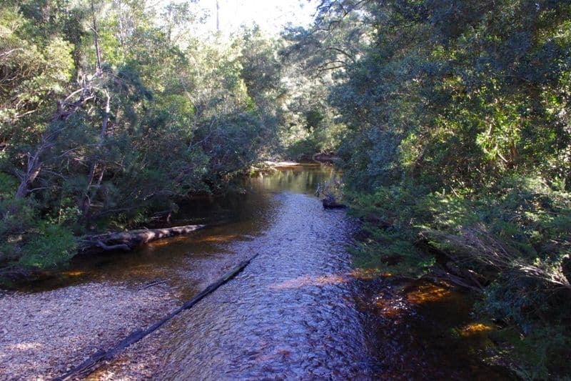 Portion 5 Yadboro Road, YADBORO NSW 2539, Yadboro - Thumbnail 3