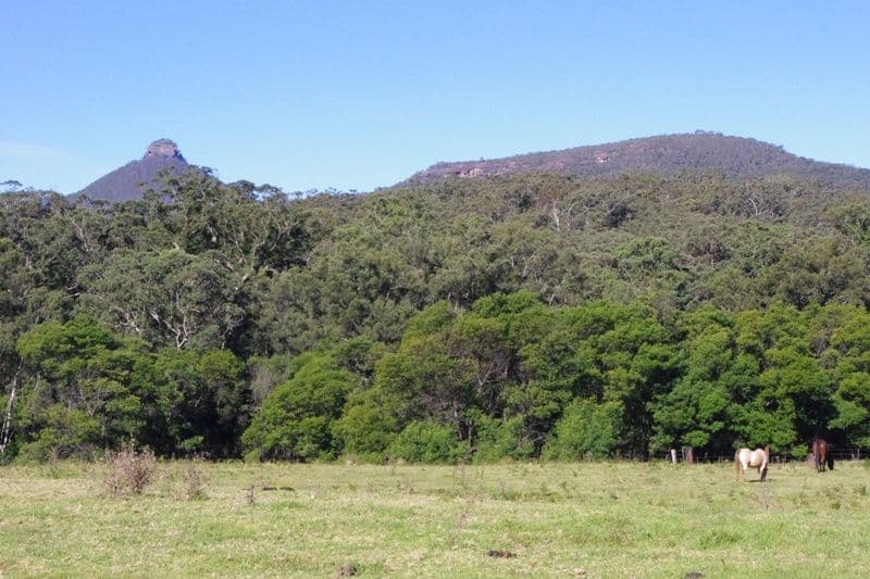 Portion 5 Yadboro Road, YADBORO NSW 2539, Yadboro - Thumbnail 4