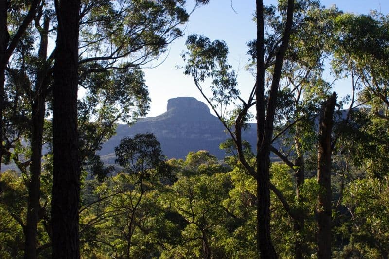 Portion 5 Yadboro Road, YADBORO NSW 2539, Yadboro - Thumbnail 5