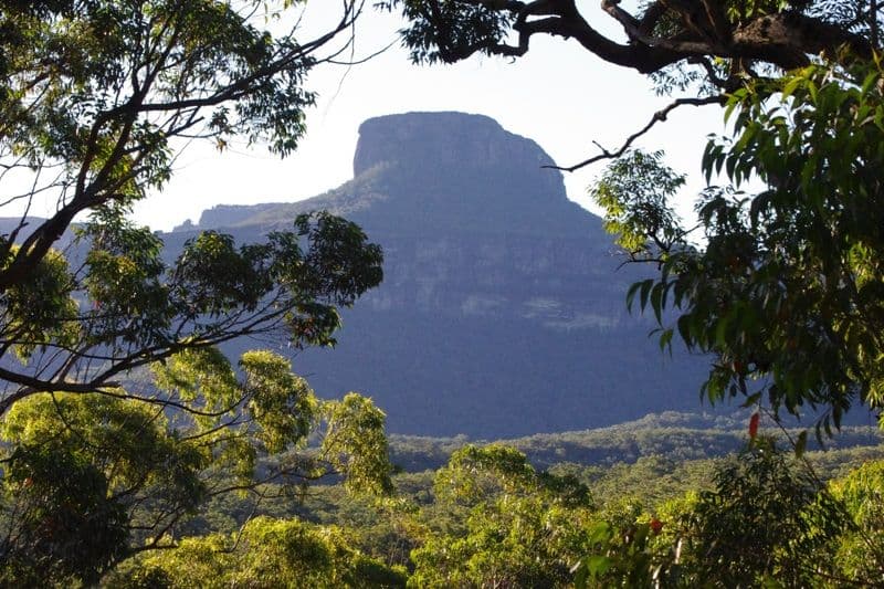 Portion 5 Yadboro Road, YADBORO NSW 2539, Yadboro - Thumbnail 6