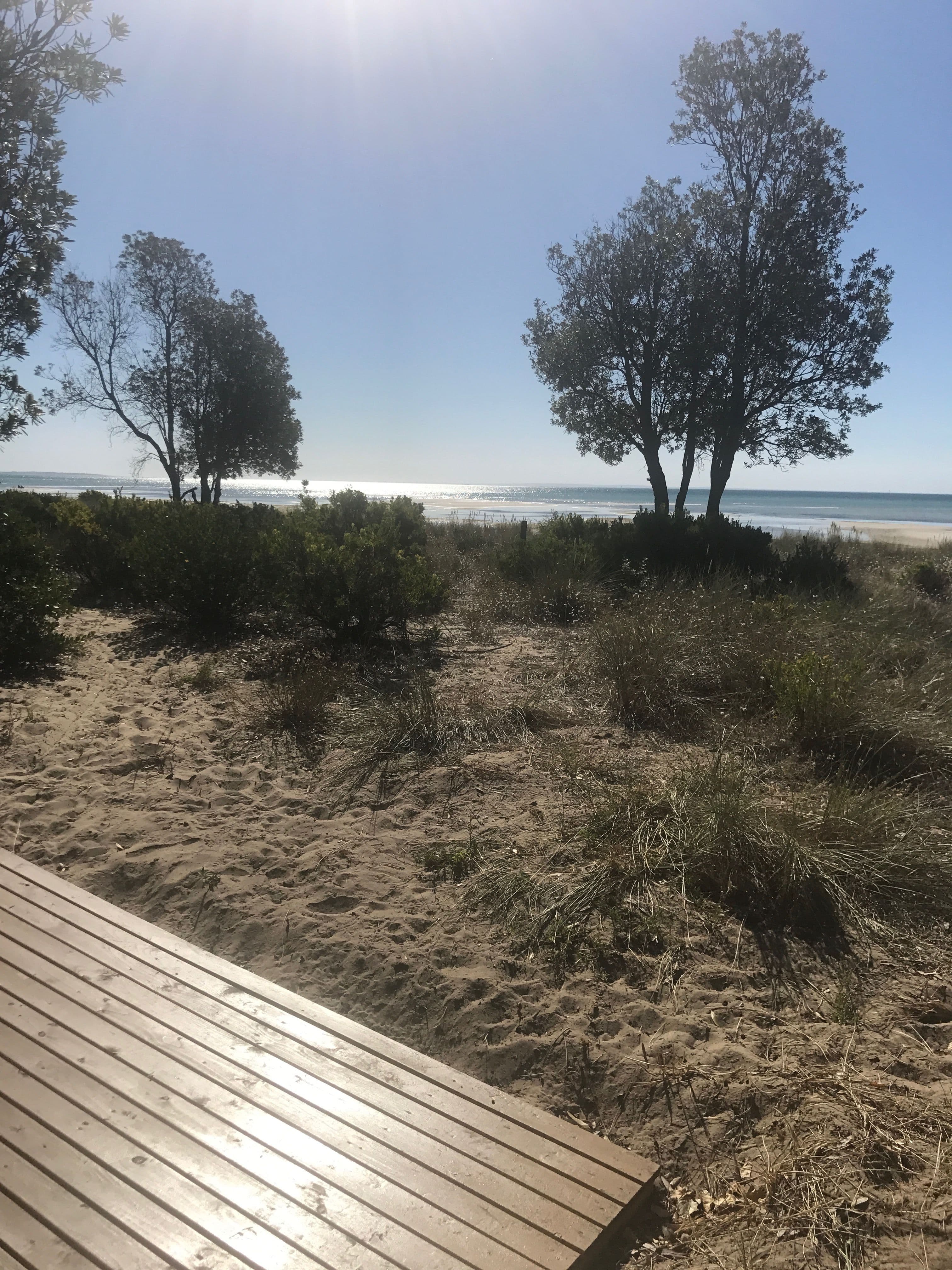 146 Beach Box, ROSEBUD VIC 3939, Rosebud - Thumbnail 2