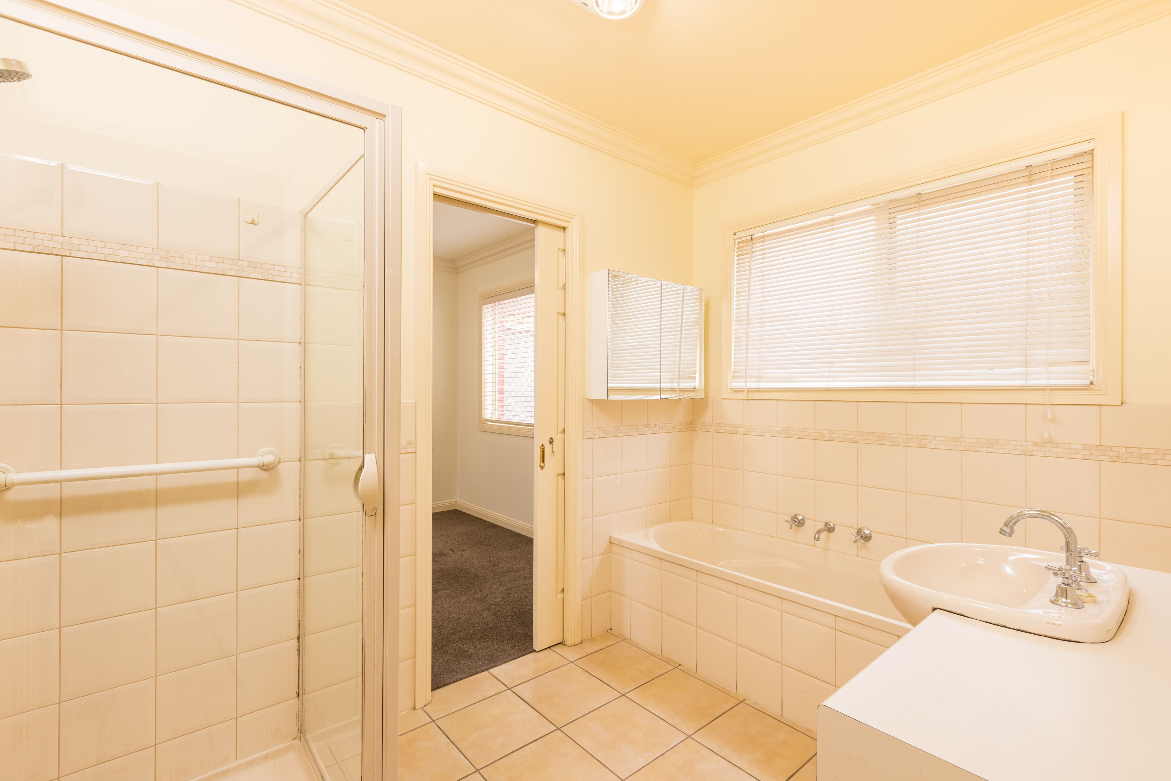 215 Wade Avenue, Mildura VIC 3500, Mildura - Thumbnail 5