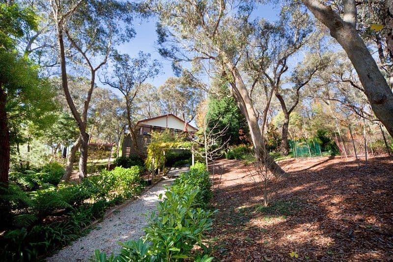 15 Mount Piddington Road, MOUNT VICTORIA NSW 2786, Mount Victoria - Thumbnail 5