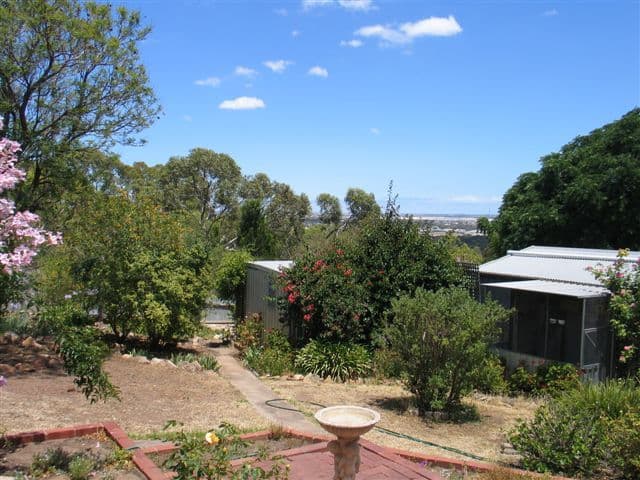 33 Frances Avenue, PARA HILLS SA 5096, Para Hills - Thumbnail 8