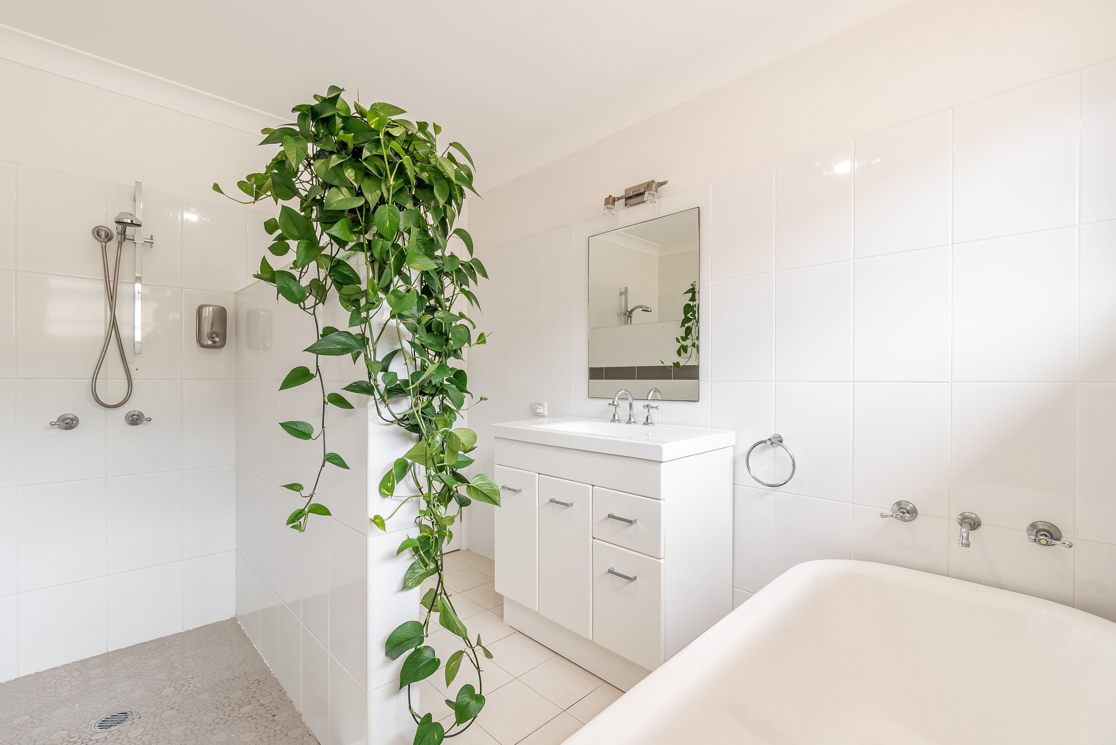 26 Orion Drive, Yamba NSW 2464, Yamba - Thumbnail 8
