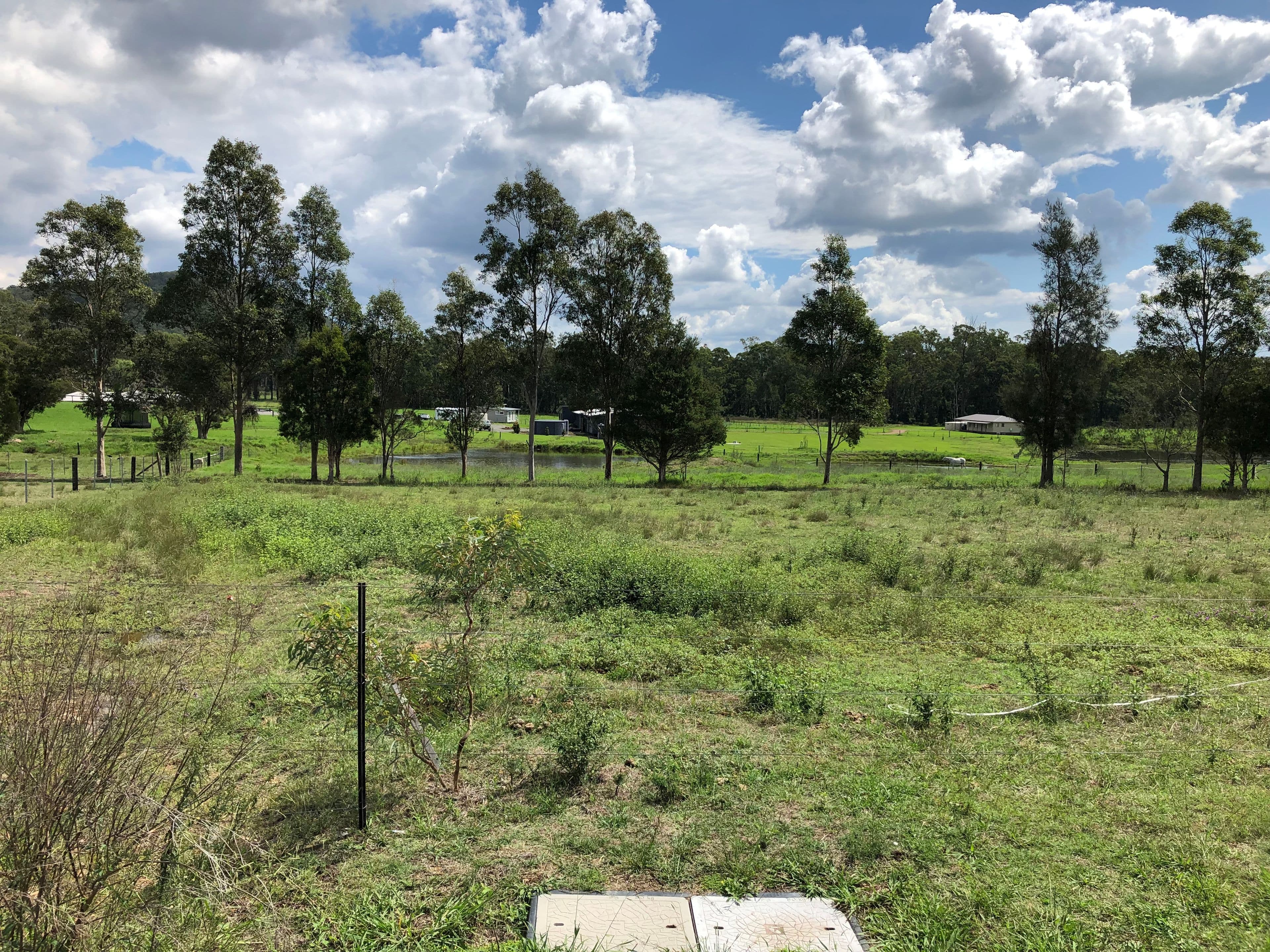 59 Boatfalls Drive, Clarence Town NSW 2321, Clarence Town - Thumbnail 3