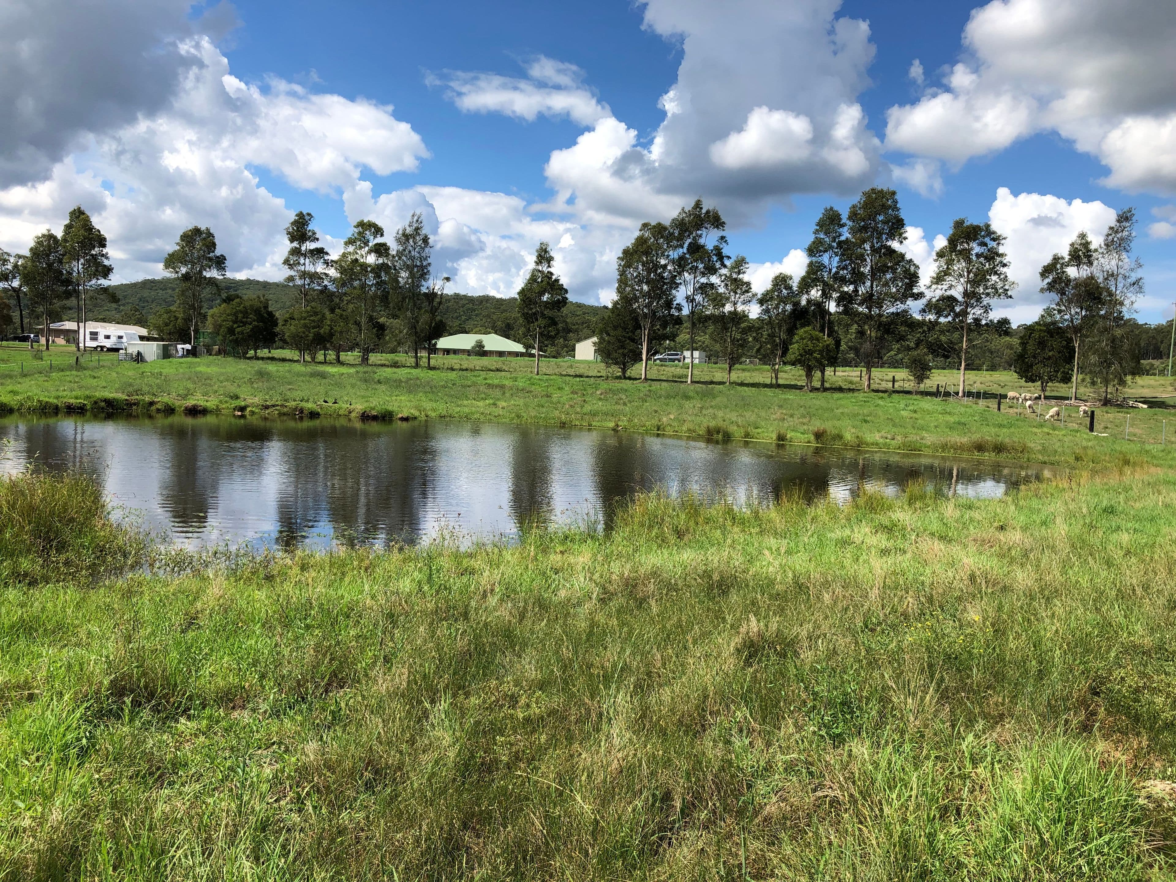 59 Boatfalls Drive, Clarence Town NSW 2321, Clarence Town - Thumbnail 6