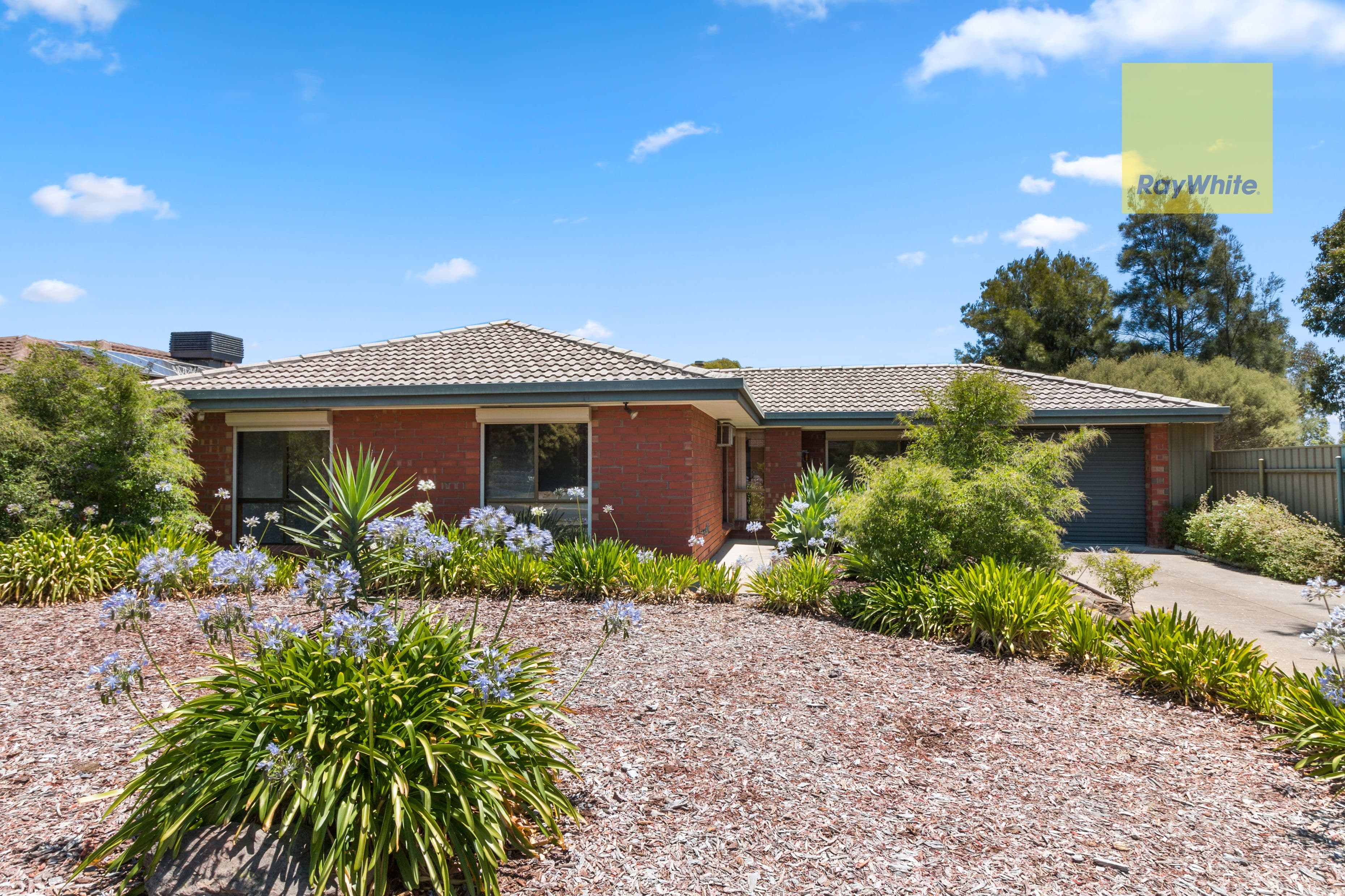 13 Hendrix Crescent, Woodcroft SA 5162, Woodcroft - Image 1