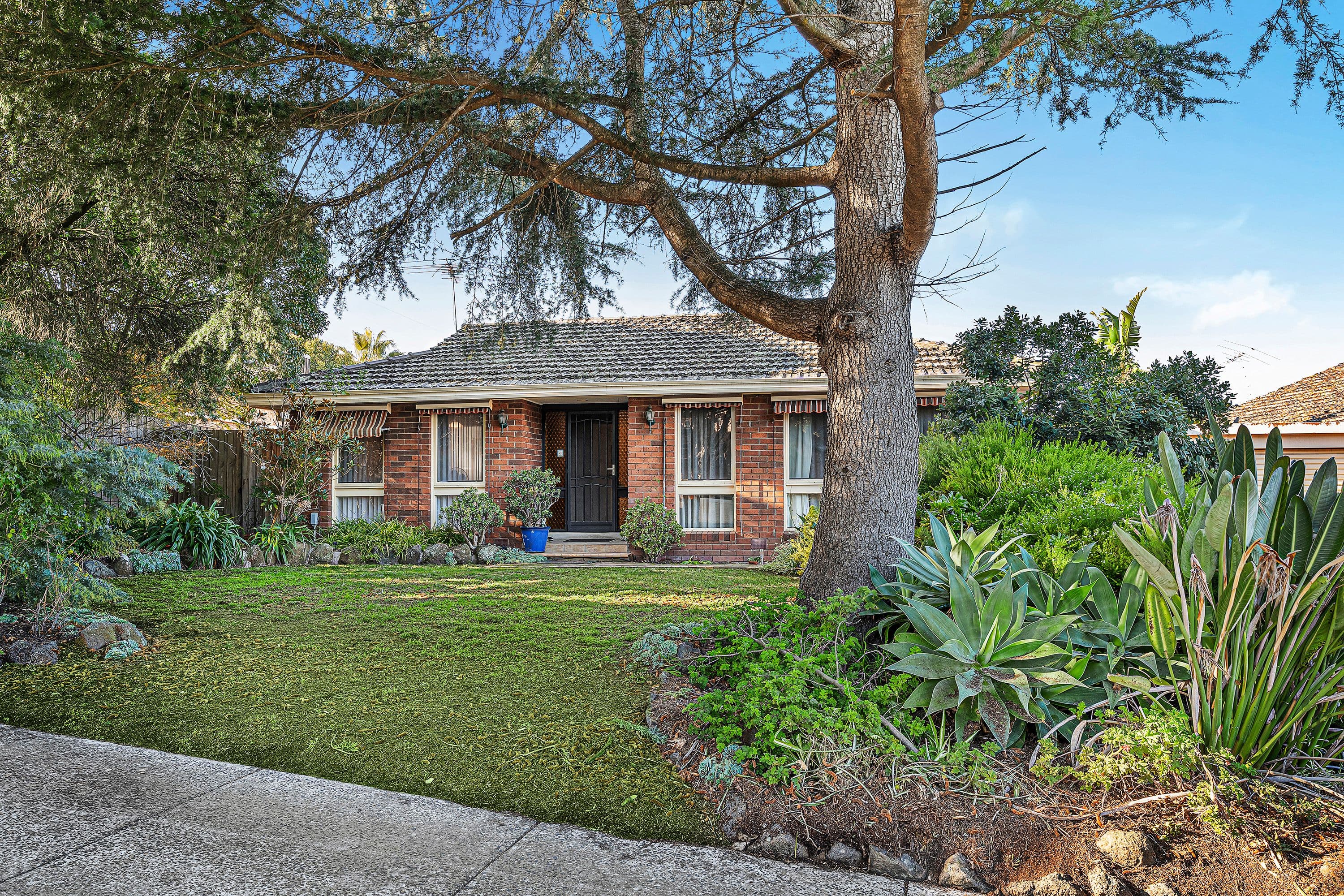 13 Cicada Court, Mulgrave VIC 3170, Mulgrave - Thumbnail 3
