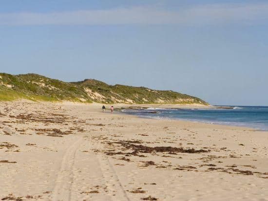 8 Foreshore Vista, YANCHEP WA 6035, Yanchep - Thumbnail 2
