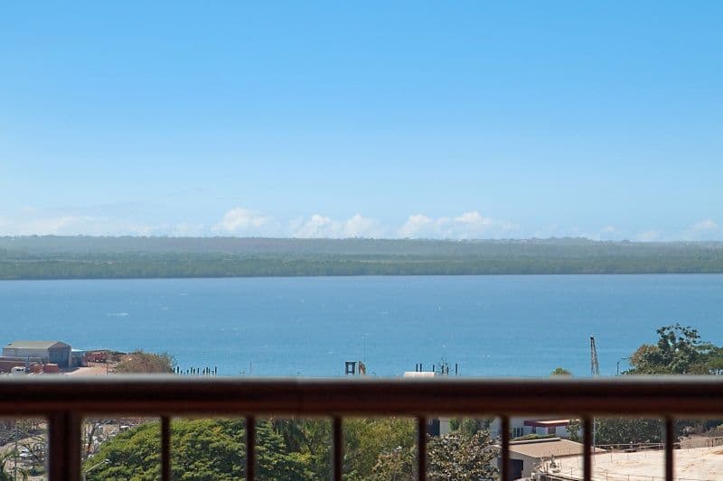 24 Harry Chan Avenue, DARWIN NT 0800, Darwin City - Image 1