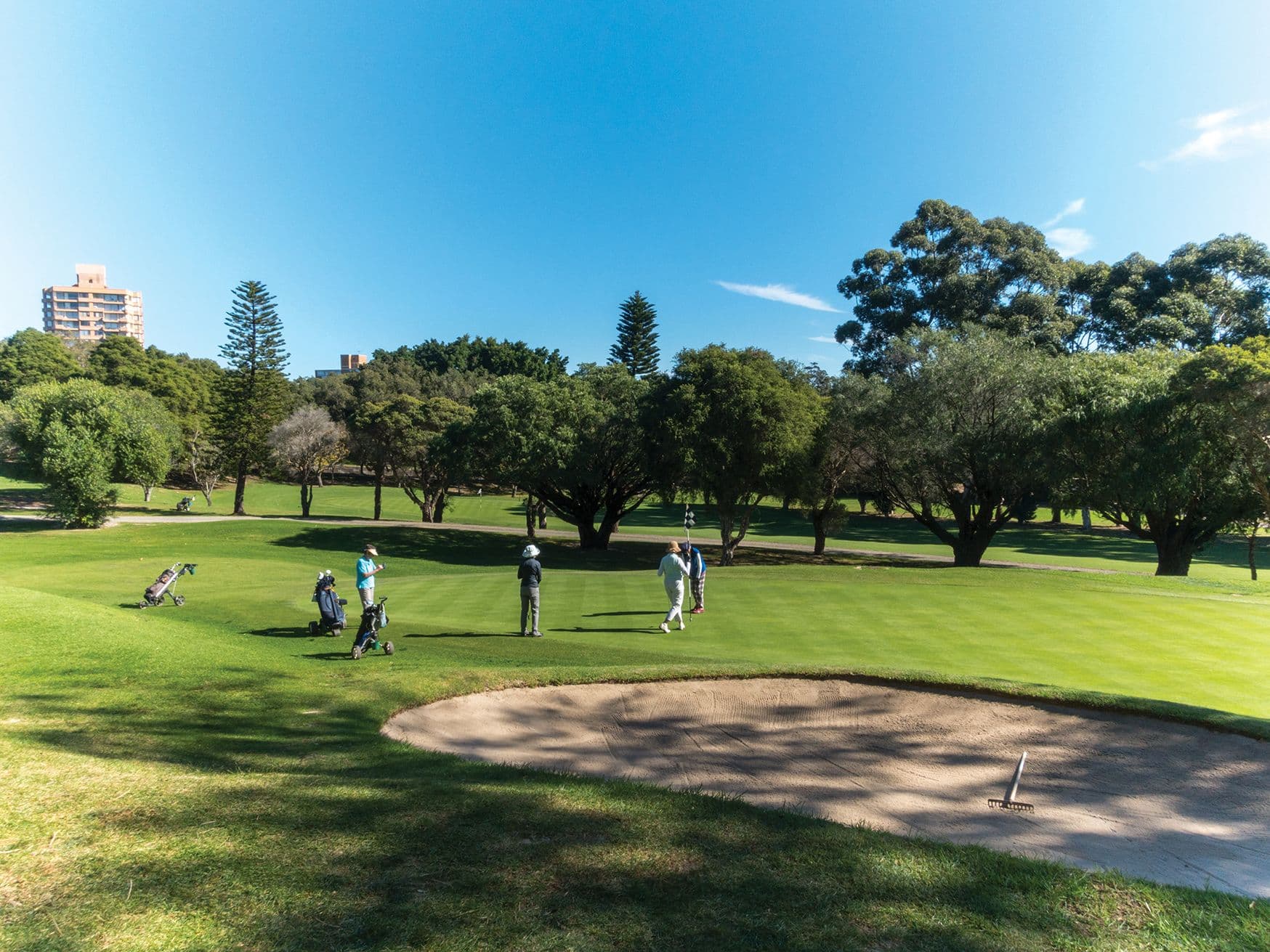 17 Balerno Circle, Gowanbrae VIC 3043, Gowanbrae - Thumbnail 8