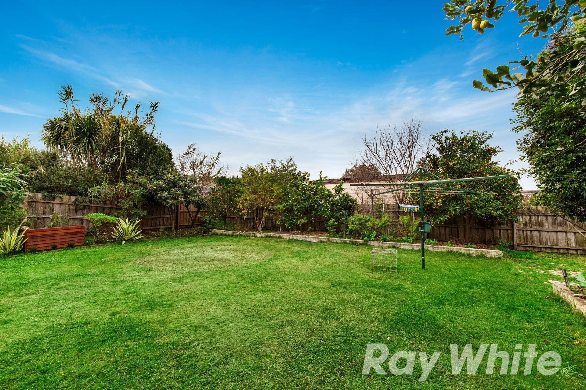 509 Boronia Road, Wantirna VIC 3152, Wantirna - Thumbnail 6