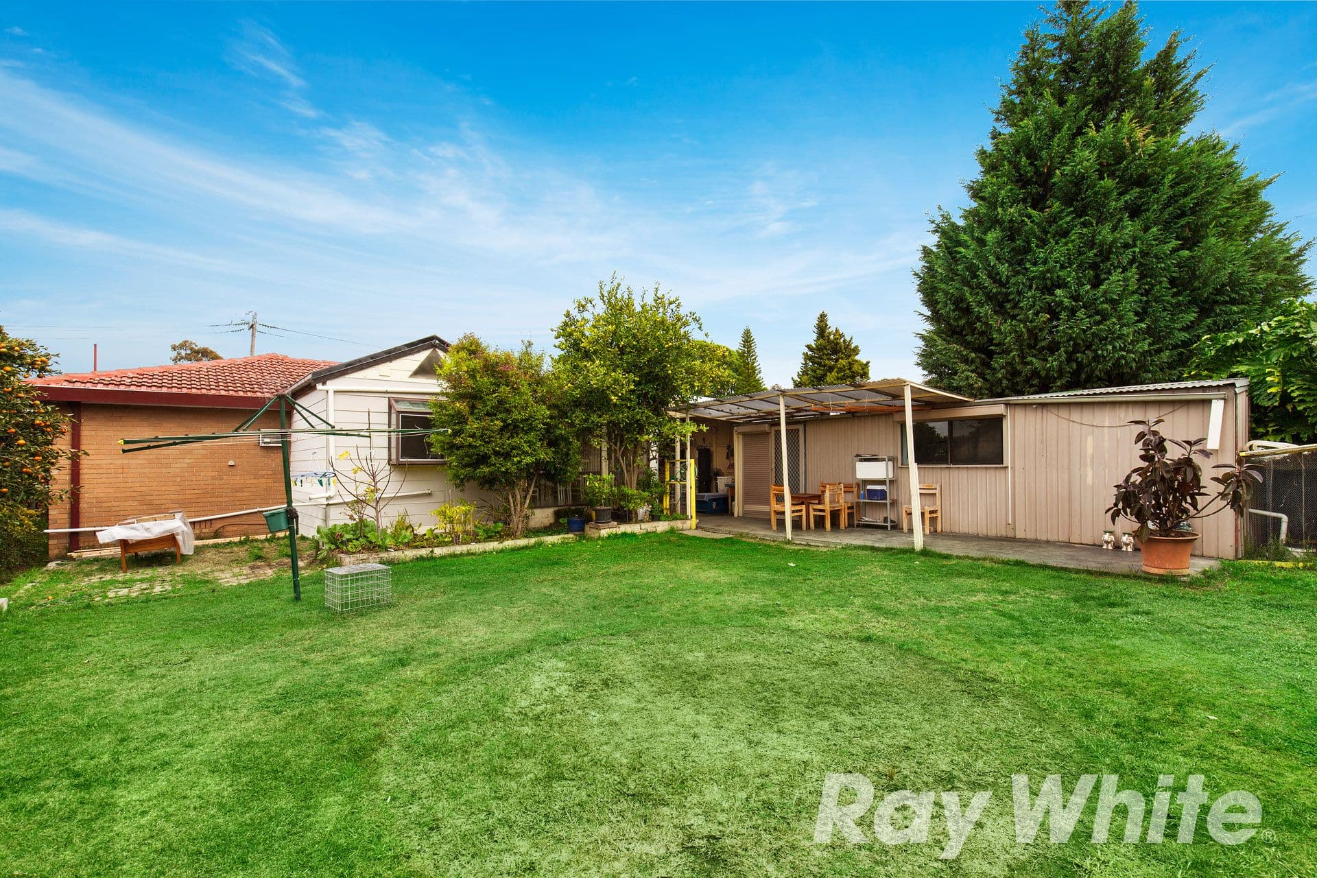 509 Boronia Road, Wantirna VIC 3152, Wantirna - Thumbnail 7