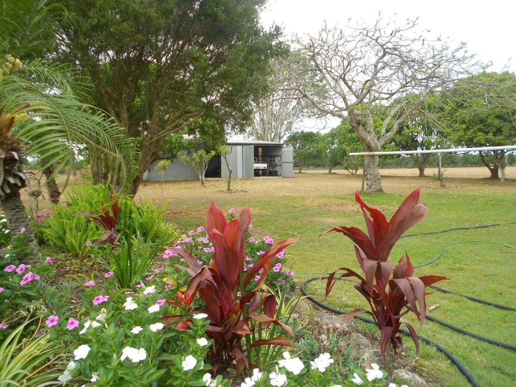 123 Pashleys Road, WELCOME CREEK QLD 4670, Welcome Creek - Thumbnail 6