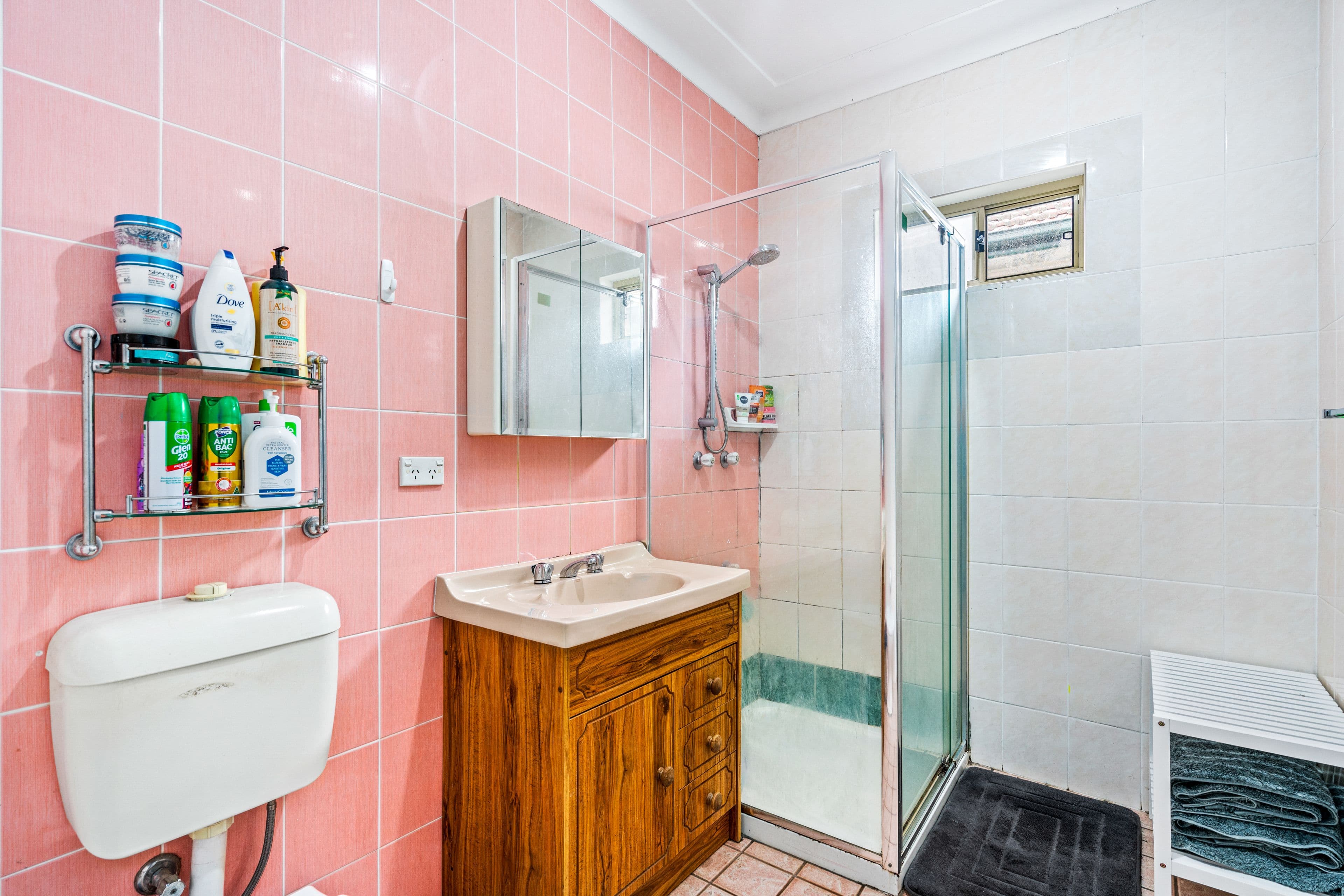 50 WEBSTER Road, Lurnea NSW 2170, Lurnea - Thumbnail 6