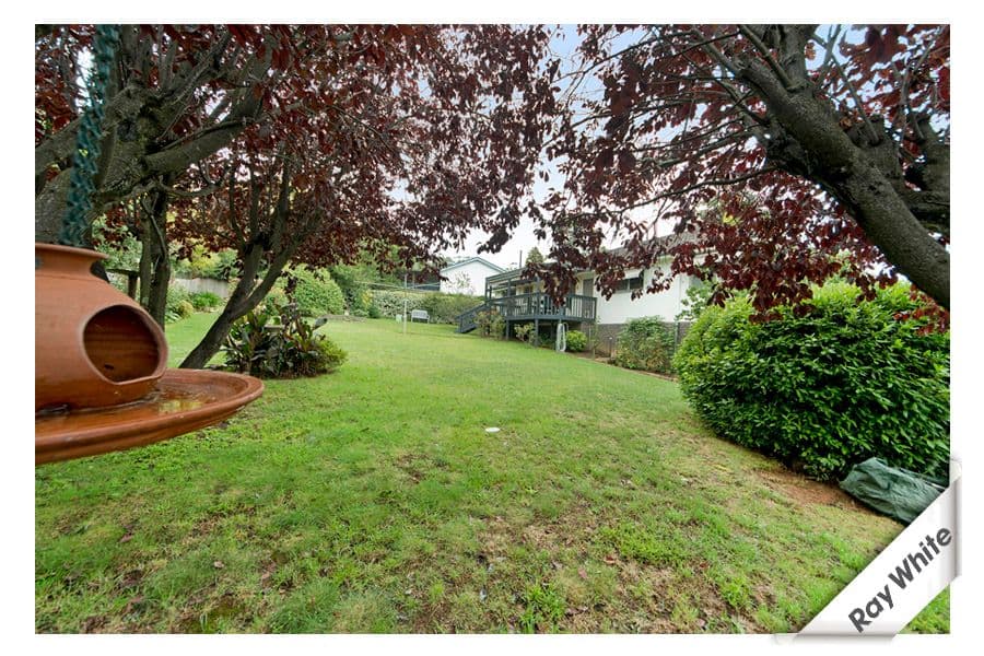 40 Deloraine Street, LYONS ACT 2606, Lyons - Thumbnail 5