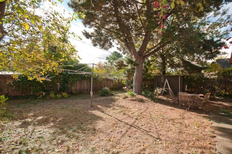 11 Nimbin Street, NARRABUNDAH ACT 2604, Narrabundah - Thumbnail 6