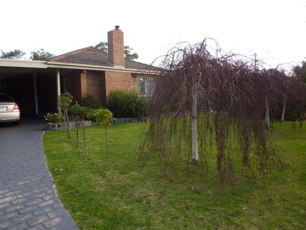 6 Talba Court, CARRUM DOWNS VIC 3201, Carrum Downs - Image 1