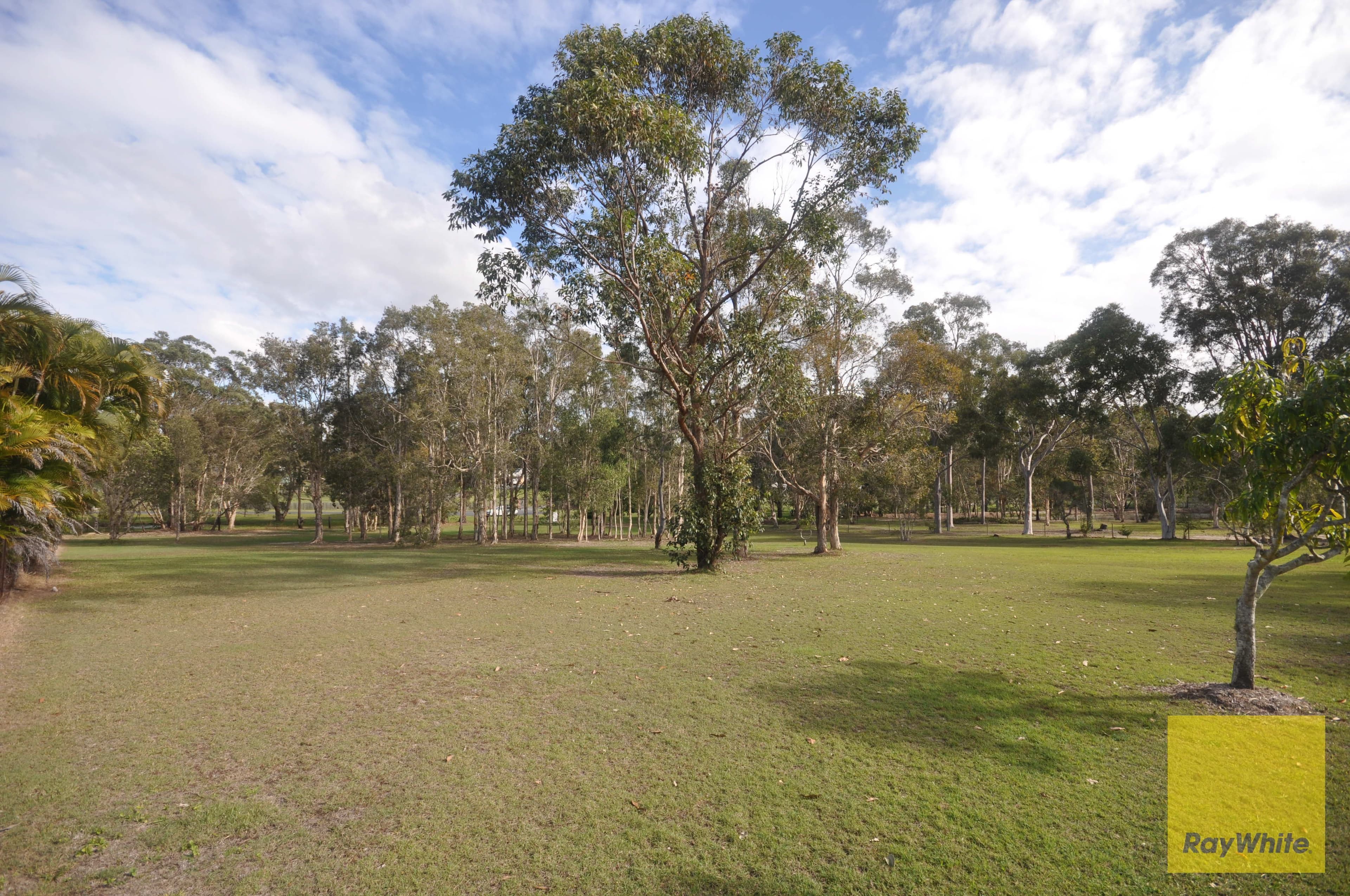 46 Morrison Street, Narangba QLD 4504, Narangba - Thumbnail 2